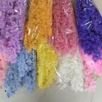 有需要永生蓬莱松的可以联系我，工厂直销