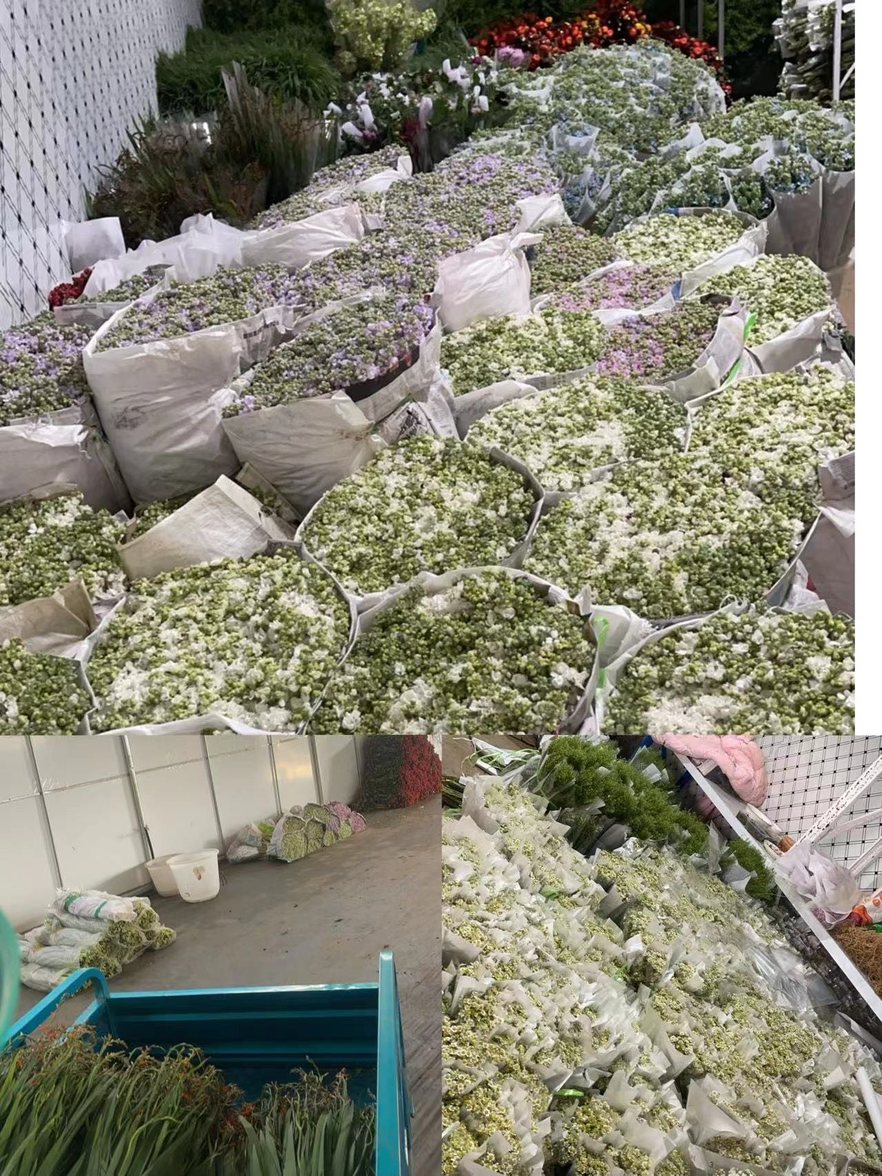 微信图片_20240813084552.jpg