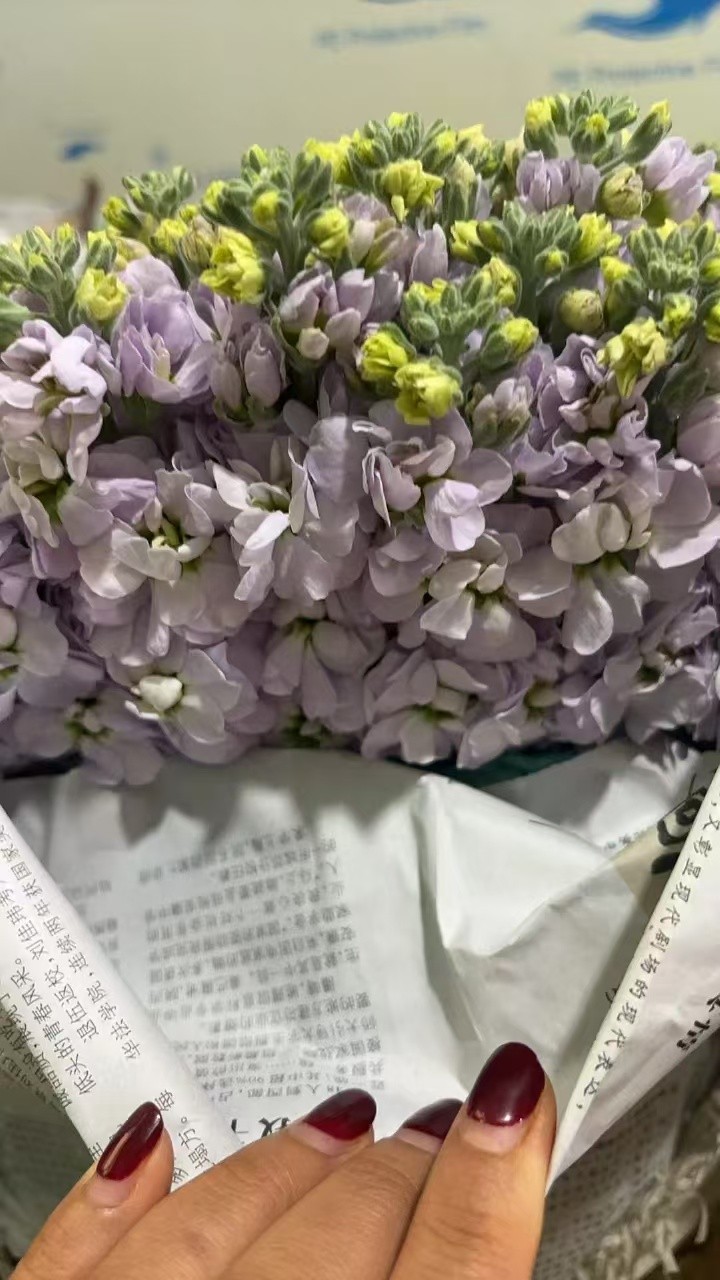 微信图片_20240817130837.jpg